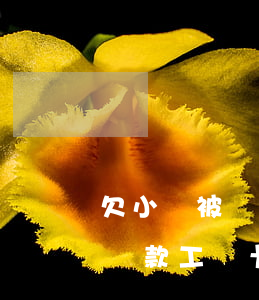欠小貸被凍結(jié)銀行卡(欠銀行小額貸款工資卡被凍結(jié))