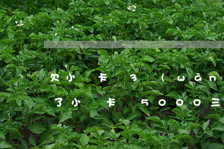 欠小贏卡貸3萬(wàn)逾期了怎么辦(欠了小贏卡貸5000三個(gè)月了,被起訴了怎么辦)