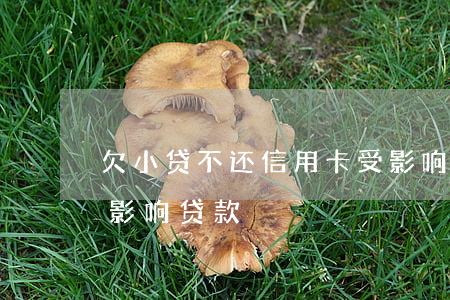 欠小贷不还信用卡受影响吗(欠信用卡会不会影响贷款)