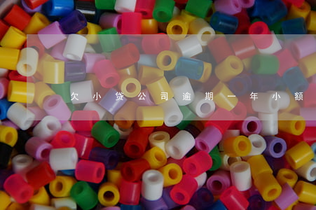 欠小贷公司逾期一年(小额贷款公司逾期后果)