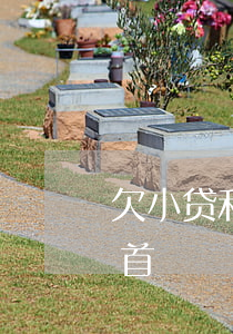 欠小贷和信用卡2021(欠小贷和信用卡自首)