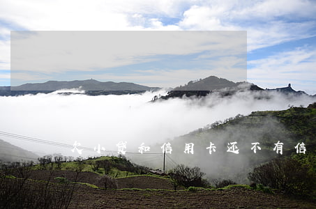 欠小贷和信用卡还不(有信用卡欠款能贷款吗)