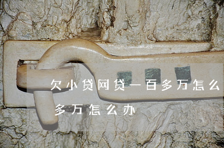 欠小贷网贷一百多万怎么办(欠小贷网贷一百多万怎么办)