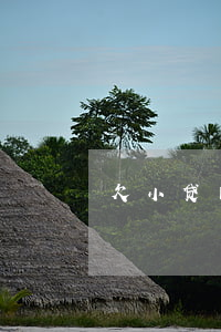 欠小贷网贷怎么跑路(把所有网贷借出来跑路)