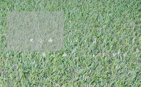 欠小雨點(diǎn)網(wǎng)貸沒還(欠小雨點(diǎn)網(wǎng)貸沒還)