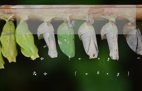 欠小額網(wǎng)貸一年以上還催收嗎(欠小額網(wǎng)貸一年以上還催收嗎)
