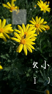 欠小額網(wǎng)貸犯法嗎(正規(guī)網(wǎng)貸欠多少會(huì)被起訴)
