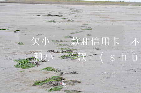 欠小額貸款和信用卡還不上_收-欠信用卡和小額貸款數(shù)目巨大還不了怎么辦