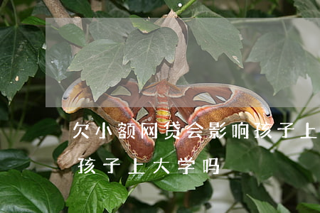欠小额网贷会影响孩子上学吗(欠网贷会影响孩子上大学吗)