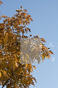 欠工人20万无力偿还需要坐牢多久-欠工人20万无力偿还需要坐牢多久呢