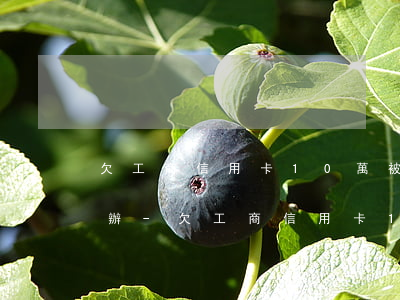 欠工商信用卡10萬被經(jīng)偵查辦-欠工商信用卡10萬被經(jīng)偵查辦案怎么辦