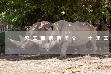 欠工商信用卡2萬十年 工行欠信用卡十年二萬