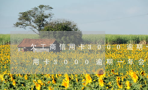 欠工商信用卡3000逾期一年-欠工商信用卡3000逾期一年会怎么样