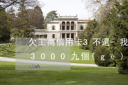 欠工商信用卡3不還-我欠工商銀行信用卡3000九個(gè)月沒(méi)還了