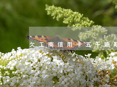 欠工商信用卡五千逾期一年了(工商銀行信用卡5萬(wàn)逾期一年)