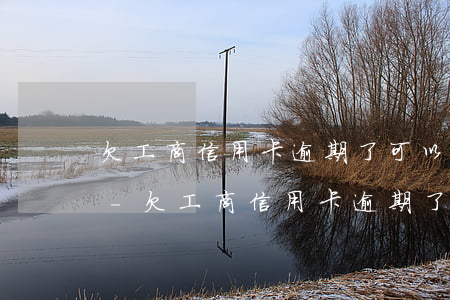 欠工商信用卡逾期了可以協(xié)商嗎-欠工商信用卡逾期了可以協(xié)商嗎還本金嗎