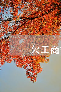 欠工商銀行信用卡一萬會起訴嗎-
