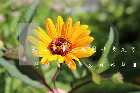 欠工商銀行信用卡多久可以起訴-欠工商銀行信用卡多久可以起訴欠款人