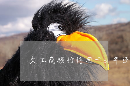 欠工商银行信用卡5年还多少钱-