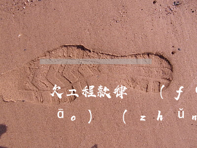 欠工程款律師費(fèi)用收取標(biāo)準(zhǔn)(起訴工程款律師費(fèi)用收取標(biāo)準(zhǔn))