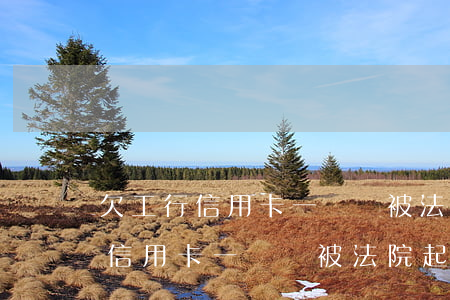 欠工行信用卡一萬會被法院起訴嗎-欠工行信用卡一萬會被法院起訴嗎知乎