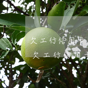 欠工行信用卡會報(bào)案嗎怎么處理（欠工行信用卡會報(bào)案嗎）