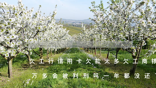 欠工行信用卡欠款太多 欠工商银行信用卡一万多会被判刑吗一年都没还了