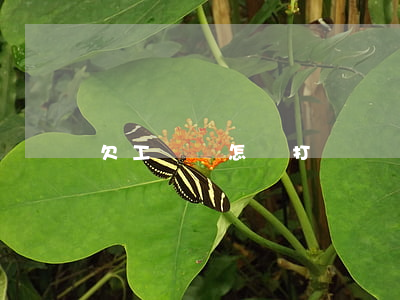 欠工資條怎樣打