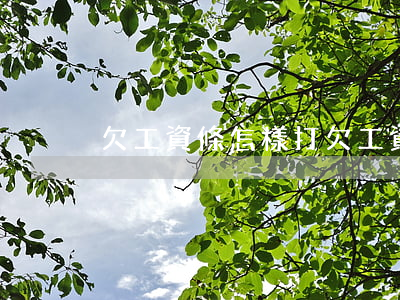 欠工資條怎樣打(欠工資條怎樣打)