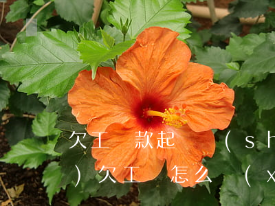 欠工資款起訴書(shū)怎么寫(xiě)(欠工資怎么寫(xiě)訴狀書(shū))