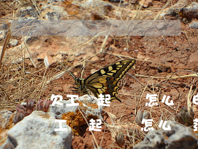 欠工資起訴書怎么寫申請(qǐng)(拖欠工資起訴書怎么寫范本)