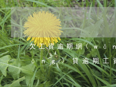欠工資逾期網(wǎng)貸怎么辦(網(wǎng)貸逾期工資被扣完怎么解決)