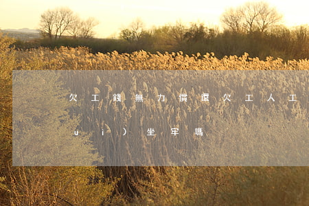 欠工錢無力償還(欠工人工資無力償還會(huì)坐牢嗎)