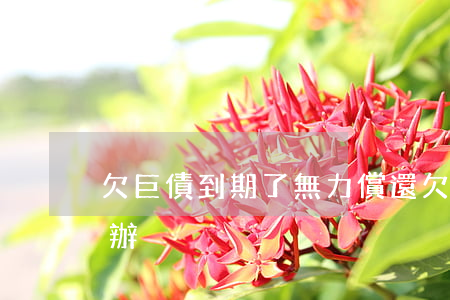 欠巨債到期了無力償還(欠巨債無力償還怎么辦)