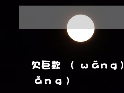 欠巨款網(wǎng)貸的人(欠很多網(wǎng)貸)