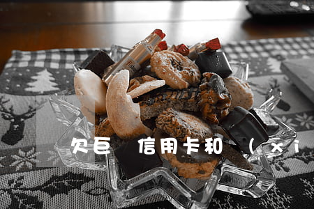 欠巨額信用卡和現(xiàn)金貸無力償還