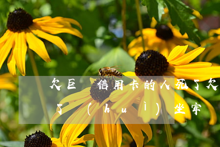 欠巨額信用卡的人死了(欠巨額信用卡的人死了會(huì)坐牢嗎)