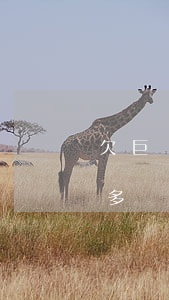 欠巨額信用卡網(wǎng)貸死了(欠了很多網(wǎng)貸信用卡,好想死了)
