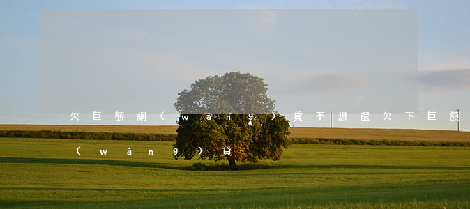 欠巨額網(wǎng)貸不想還(欠下巨額網(wǎng)貸)