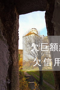 欠巨額網(wǎng)貸和信用卡無力償還(欠信用卡和網(wǎng)貸無法還)