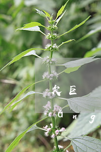 欠巨額網(wǎng)貸強制上岸(欠網(wǎng)貸強制上岸的后果)