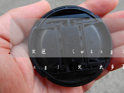 欠巨額網(wǎng)貸怎么處理(網(wǎng)貸欠債太多了怎么辦)