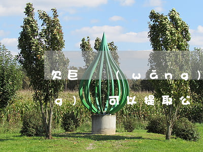 欠巨額網(wǎng)貸(欠巨額網(wǎng)貸可以提取公積金嗎)