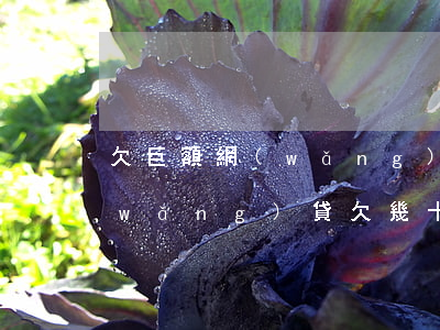 欠巨額網(wǎng)貸的人怎么過的(網(wǎng)貸欠幾十萬會(huì)不會(huì)坐牢)