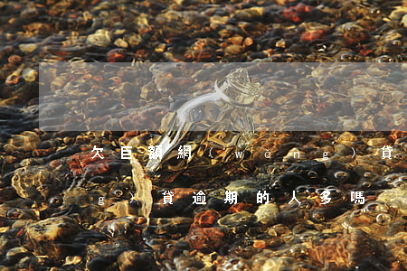 欠巨額網(wǎng)貸的人(欠網(wǎng)貸逾期的人多嗎)