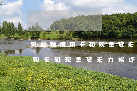 欠巨额信用卡和现金贷无力偿还-欠巨额信用卡和现金贷无力偿还怎么办