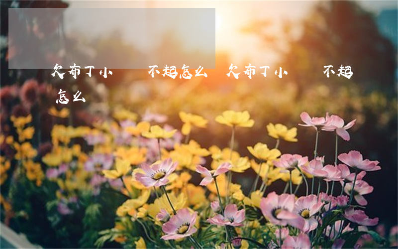 欠布丁小貸還不起怎么辦(欠布丁小貸還不起怎么辦)