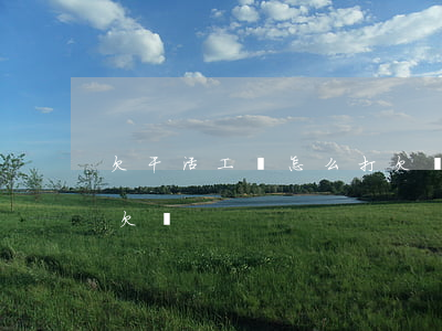 欠干活工錢怎么打欠條(下欠工人工資怎么打欠條)