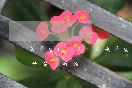 欠平安i貸工資卡是平安的(平安i貸是不是平安銀行的)