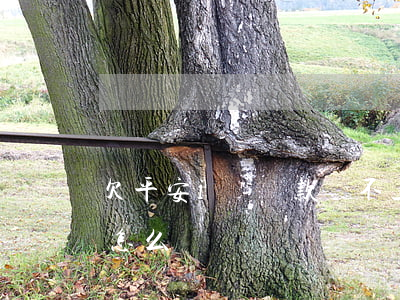 欠平安i貸貸款還不上(中國平安貸款還不上怎么辦)